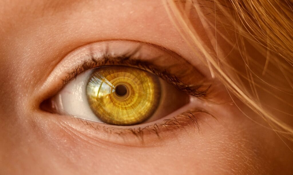 Was ist ein Wimpernlifting Was ist ein Wimpernlifting